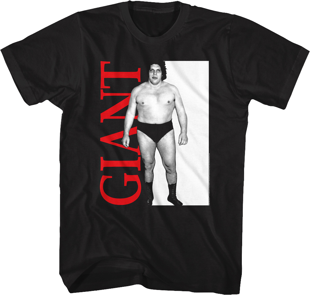 Scarface Poster Andre The Giant T-Shirt Hoodie, Sweatshirt | CiraTrend.com (Image 1)