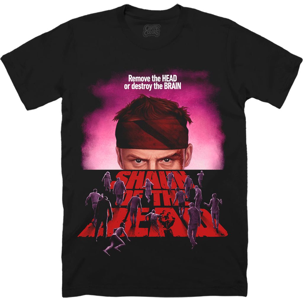SHAUN OF THE DEAD: DESTROY THE BRAIN - T-SHIRT Hoodie, Sweatshirt | CiraTrend.com (Image 1)