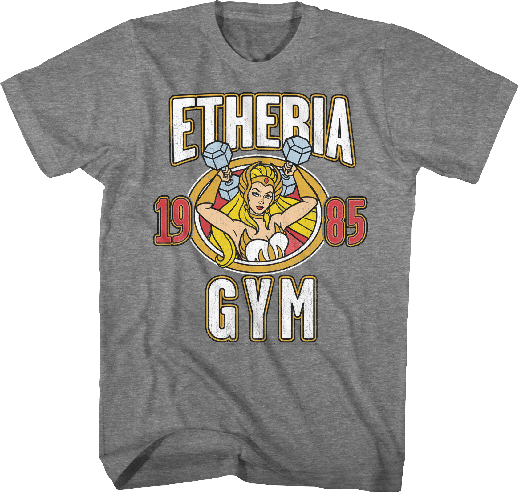 She-Ra Etheria Gym Masters of the Universe T-Shirt Hoodie, Sweatshirt | CiraTrend.com (Image 1)