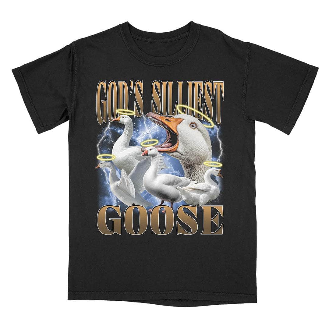 God'S Silliest Goose T-Shirts, Hoodie, Sweatshirt