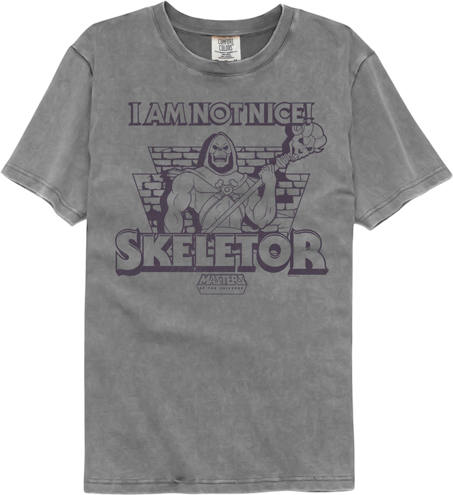 Skeletor Not Nice Masters Universe Comfort Colors Brand T-Shirts, Hoodie, Sweatshirt