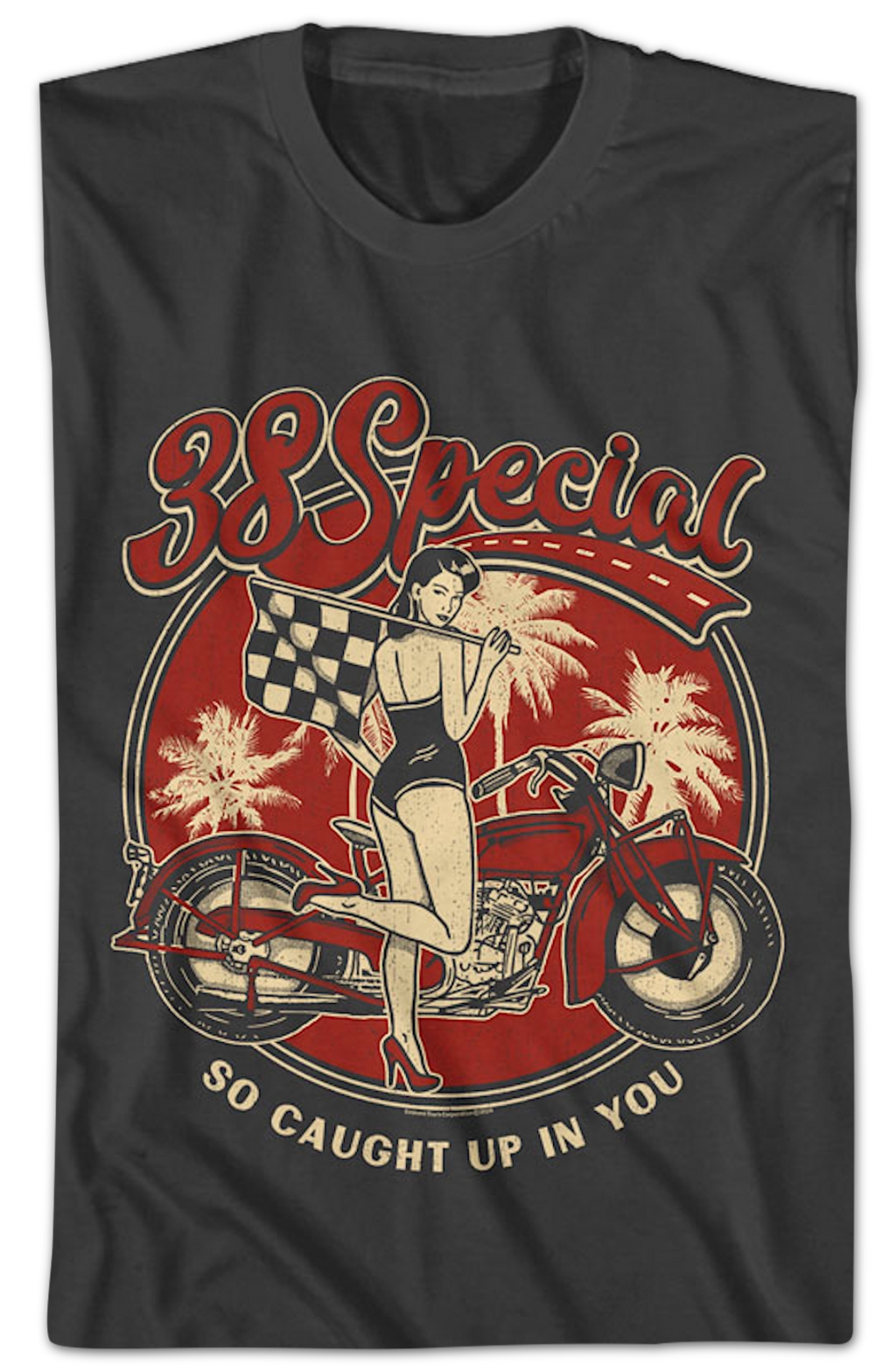 So Caught Up In You 38 Special T-Shirt Hoodie, Sweatshirt | CiraTrend.com (Image 2)