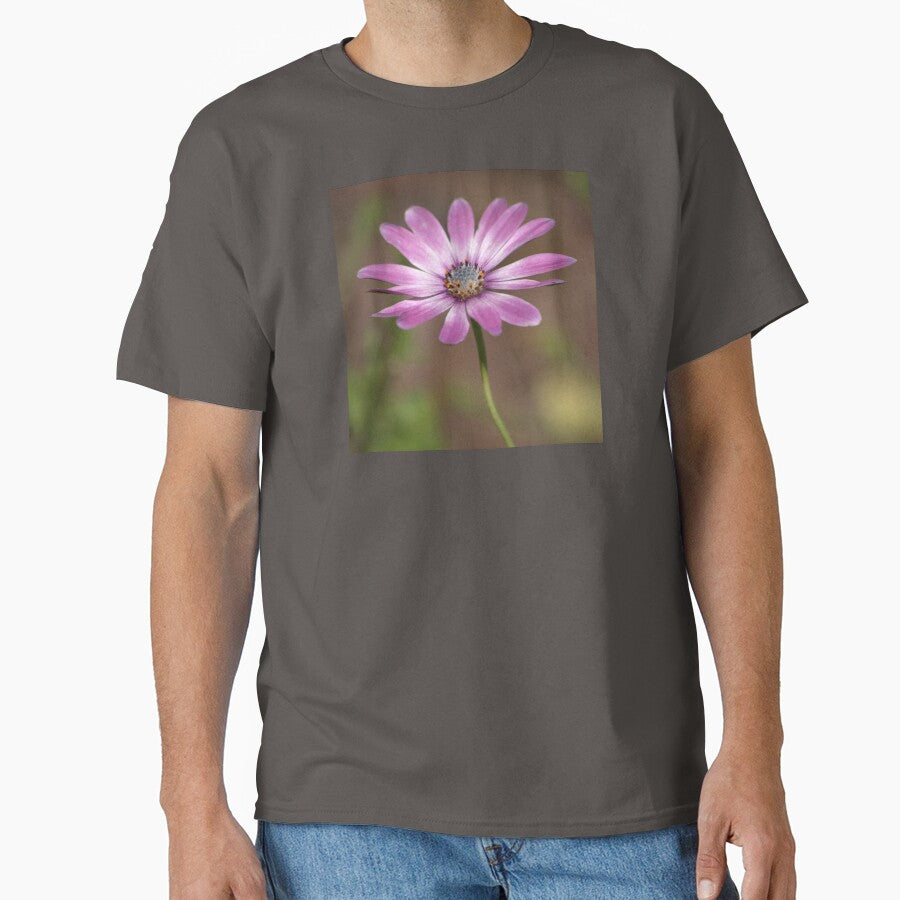 Spring African Daisy by K D Graves Photography