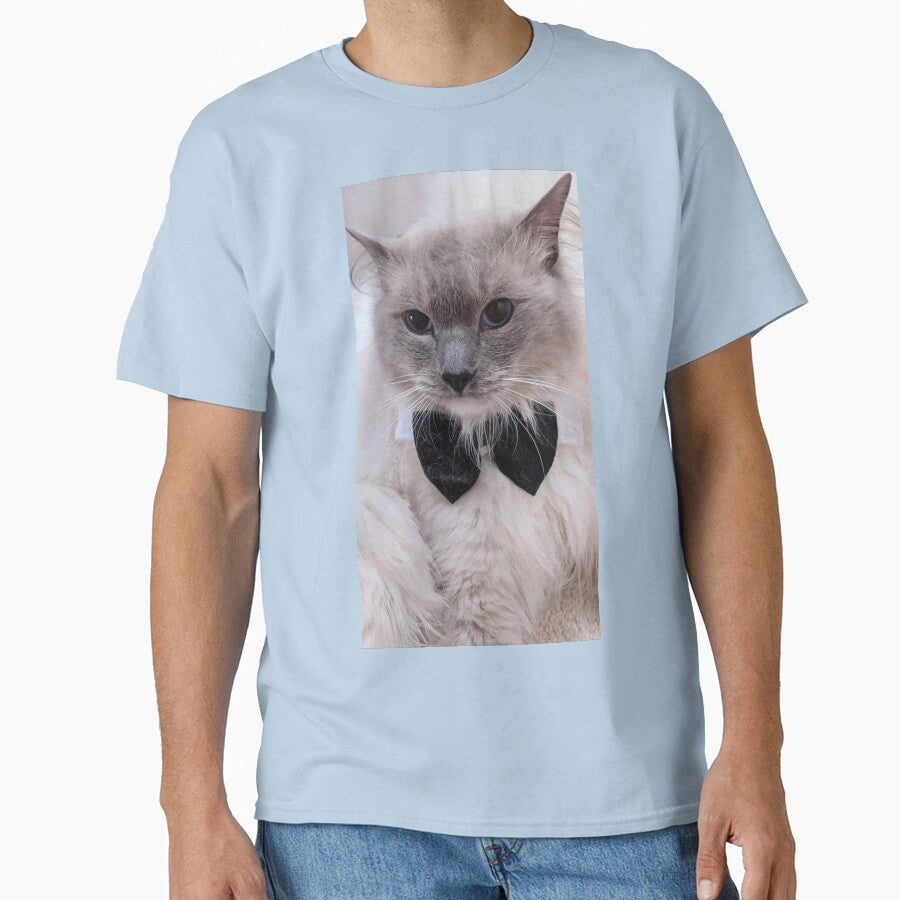 Ragdoll cat by Fluffycat2020