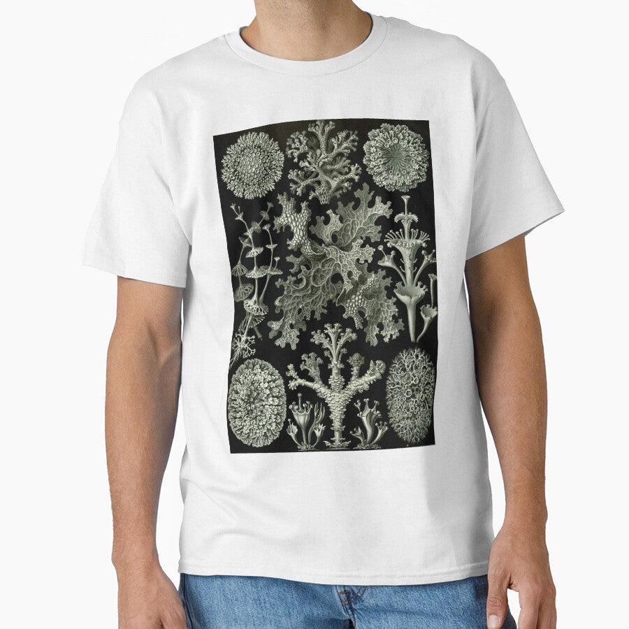 Natural History Lichen by BlueSpecsStudio