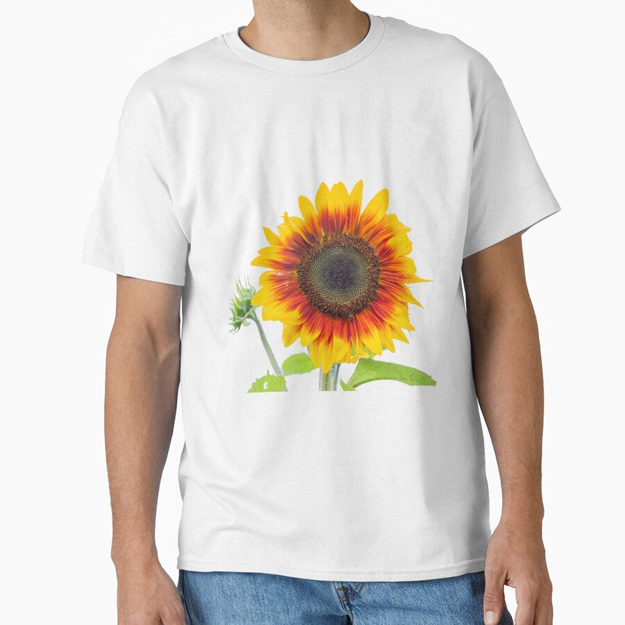 Sunflower 2018-1 by Thomasyoung