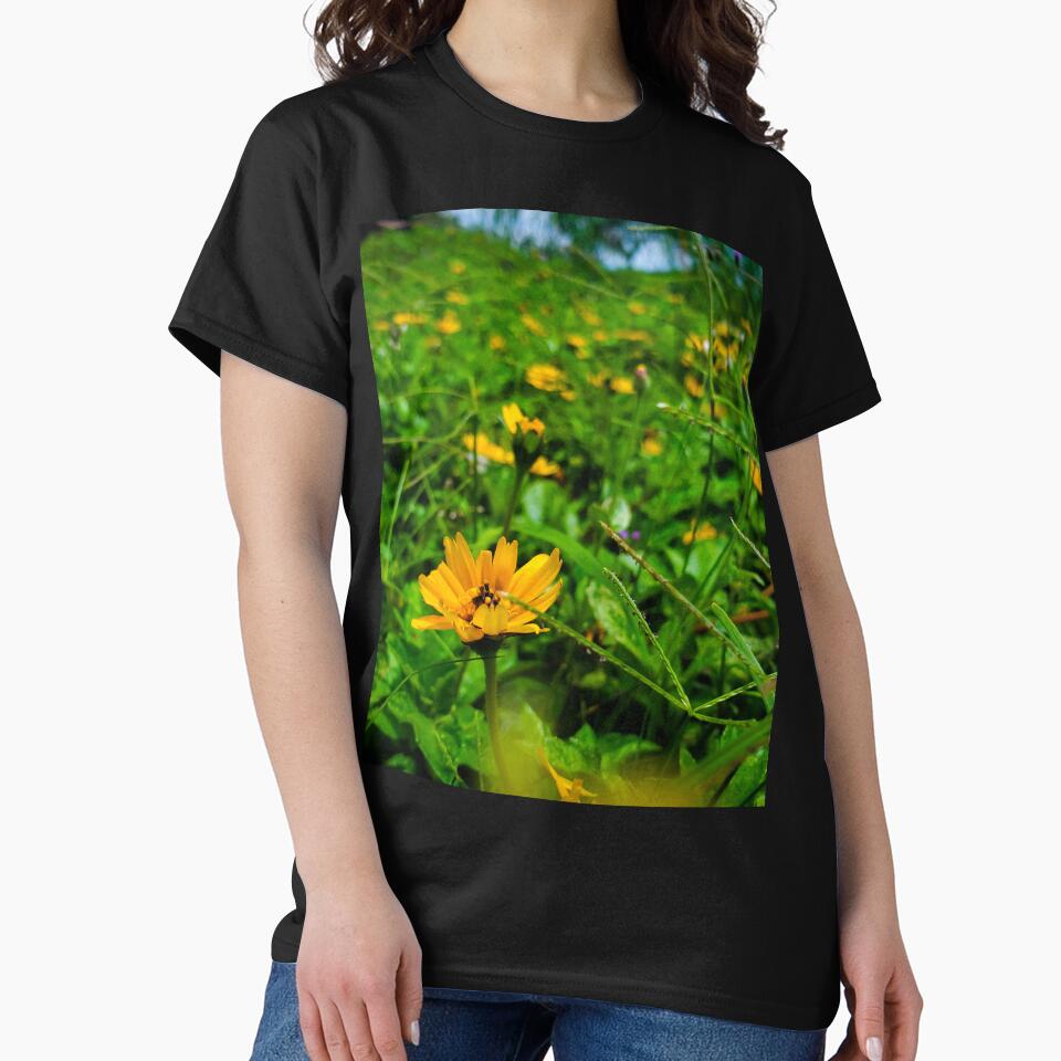 yellow flowers in green grass by Melquidedec