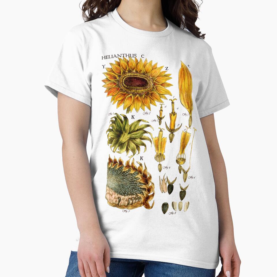 Sunflower botanical illustration 19th century by FLIP-original