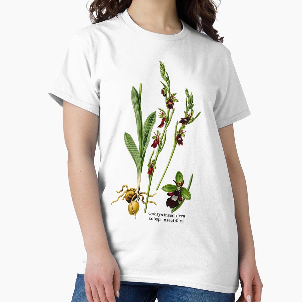 Ophrys insectifera, One Beautiful Bee Orchid by GreenVerseStore
