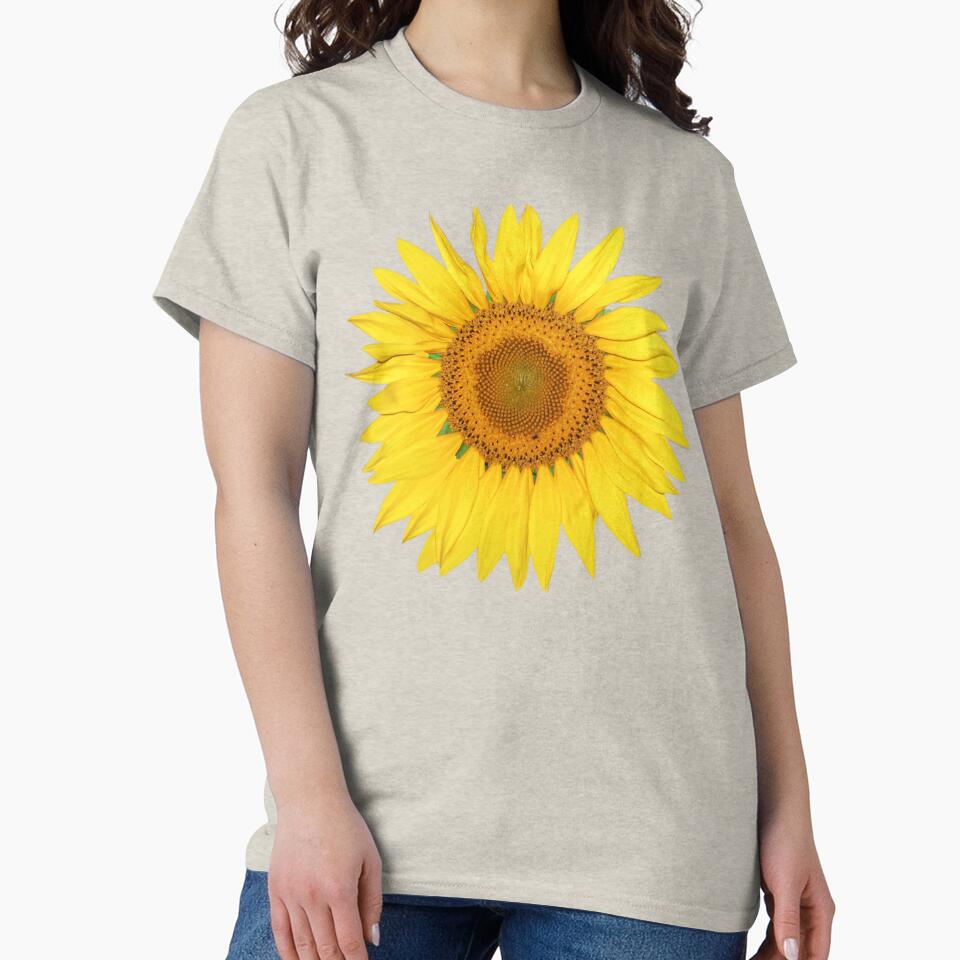A beautiful, bright sunflower blossom, a yellow flower. by MiMee4451