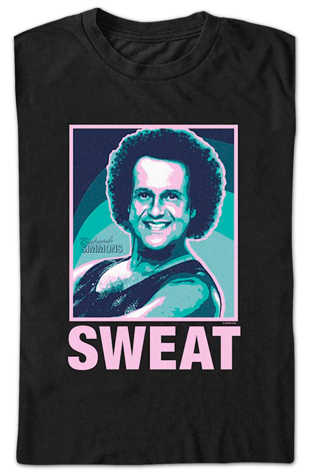 Sweat Richard Simmons T-Shirt Hoodie, Sweatshirt | CiraTrend.com (Image 2)