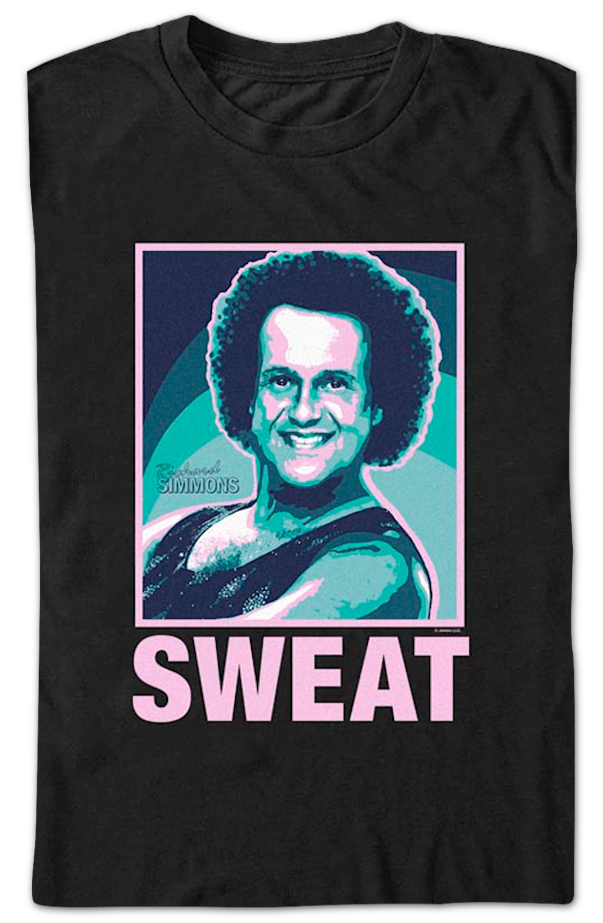 Sweat Richard Simmons T-Shirt Hoodie, Sweatshirt | CiraTrend.com (Image 2)