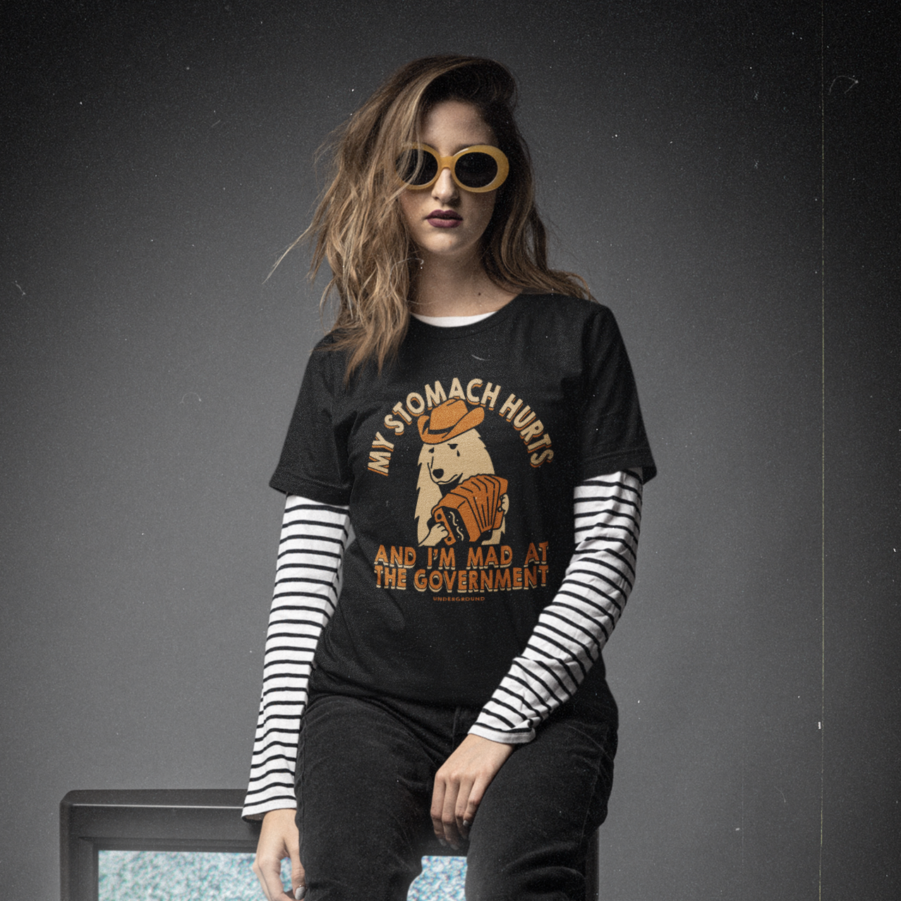 My Stomach Hurts and I'm Mad at the Government T-Shirt Hoodie, Sweatshirt | CiraTrend.com (Image 2)