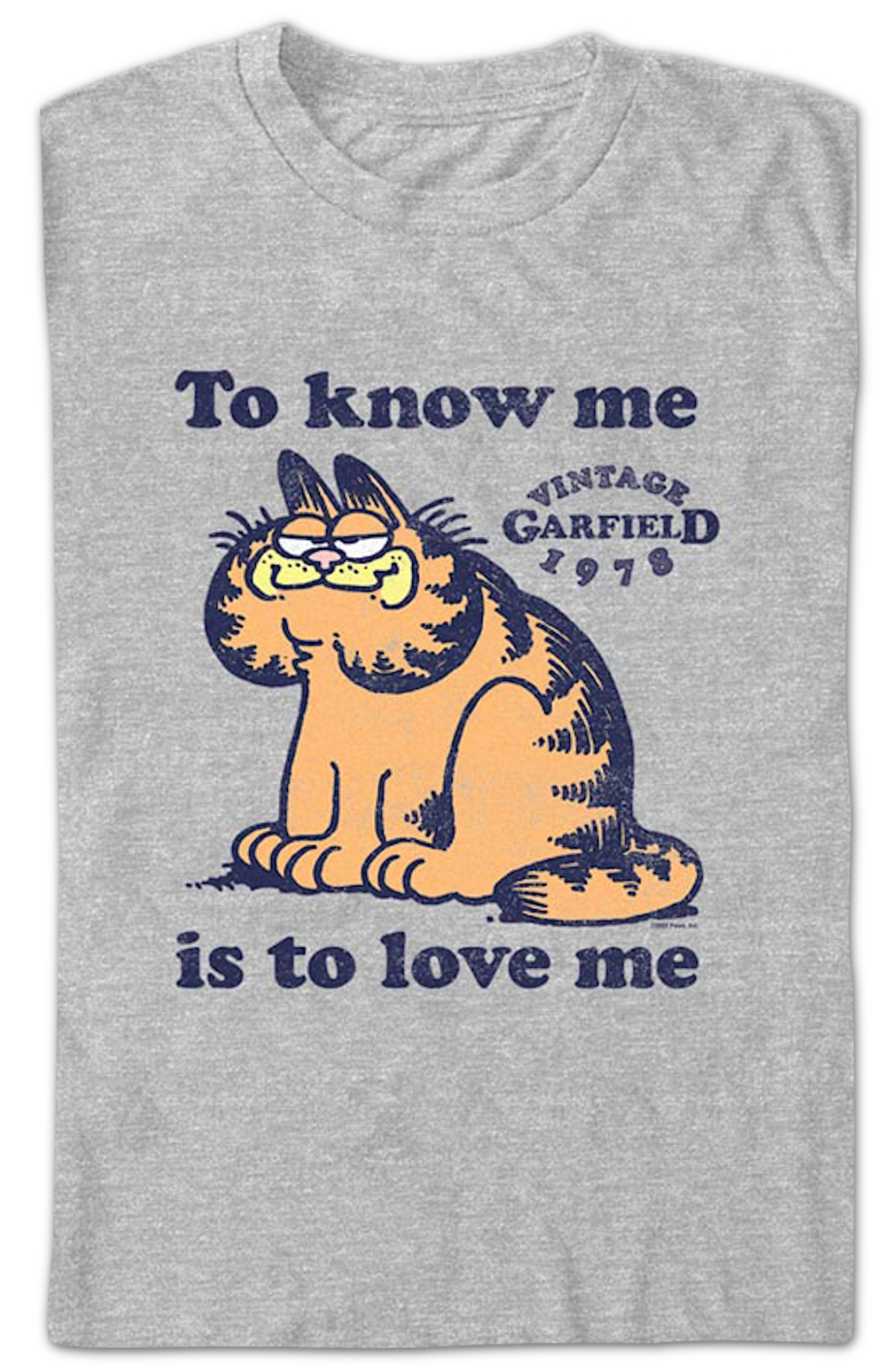 To Know Me Is To Love Me Garfield T-Shirt Hoodie, Sweatshirt | CiraTrend.com (Image 2)