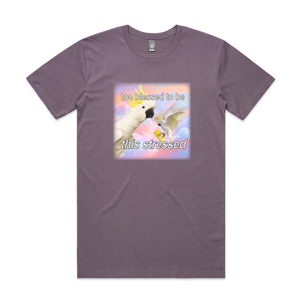 Too Blessed Tee Hoodie, Sweatshirt | CiraTrend.com (Image 1)