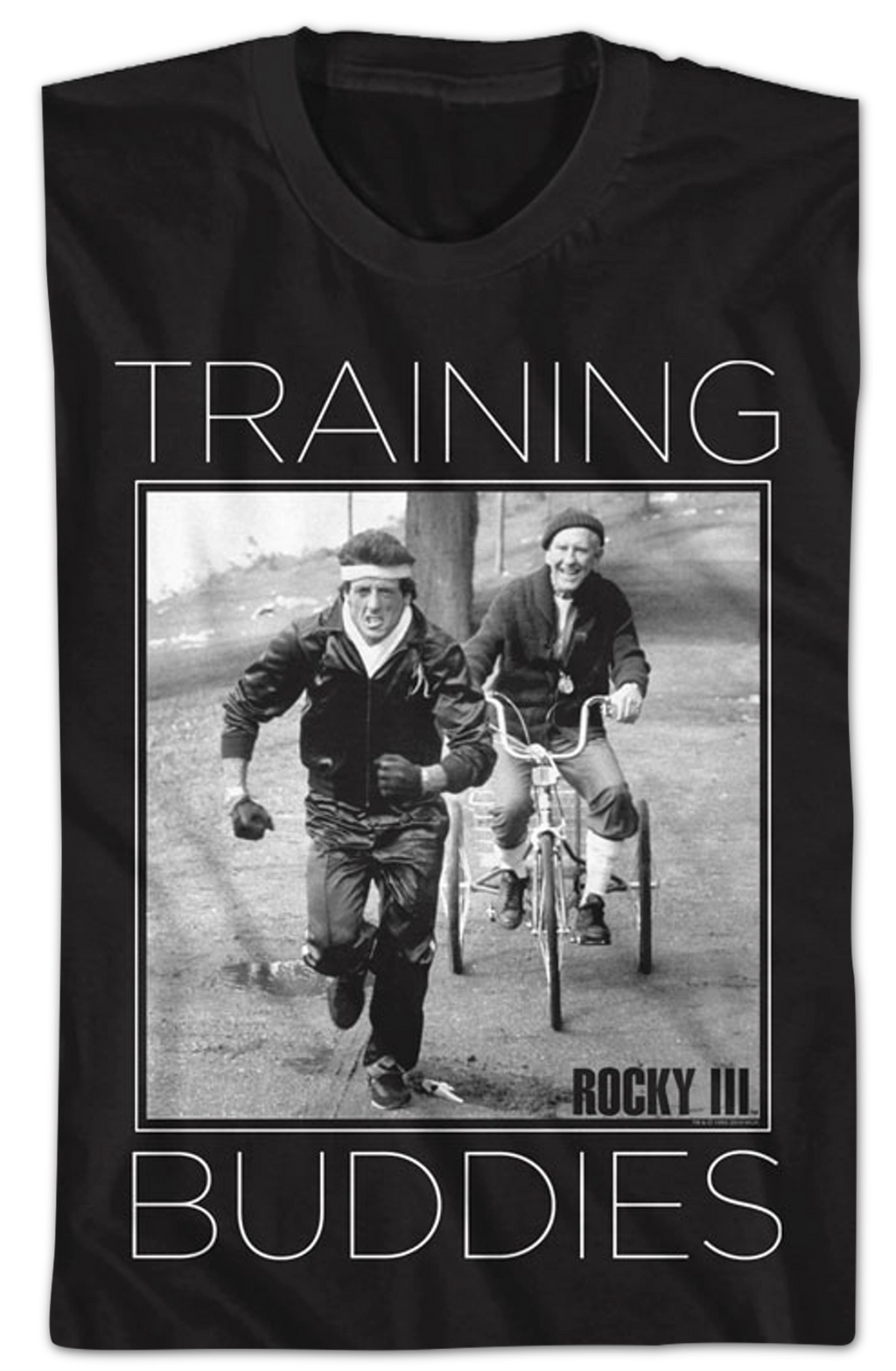Training Buddies Rocky T-Shirt Hoodie, Sweatshirt | CiraTrend.com (Image 2)