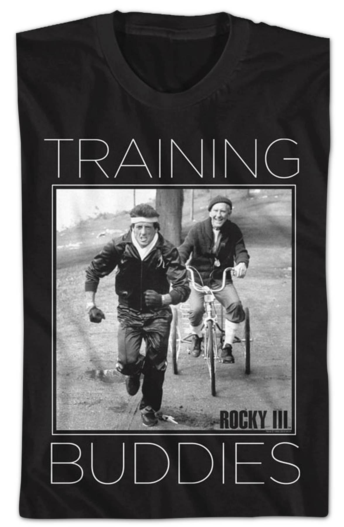 Training Buddies Rocky T-Shirt Hoodie, Sweatshirt | CiraTrend.com (Image 2)