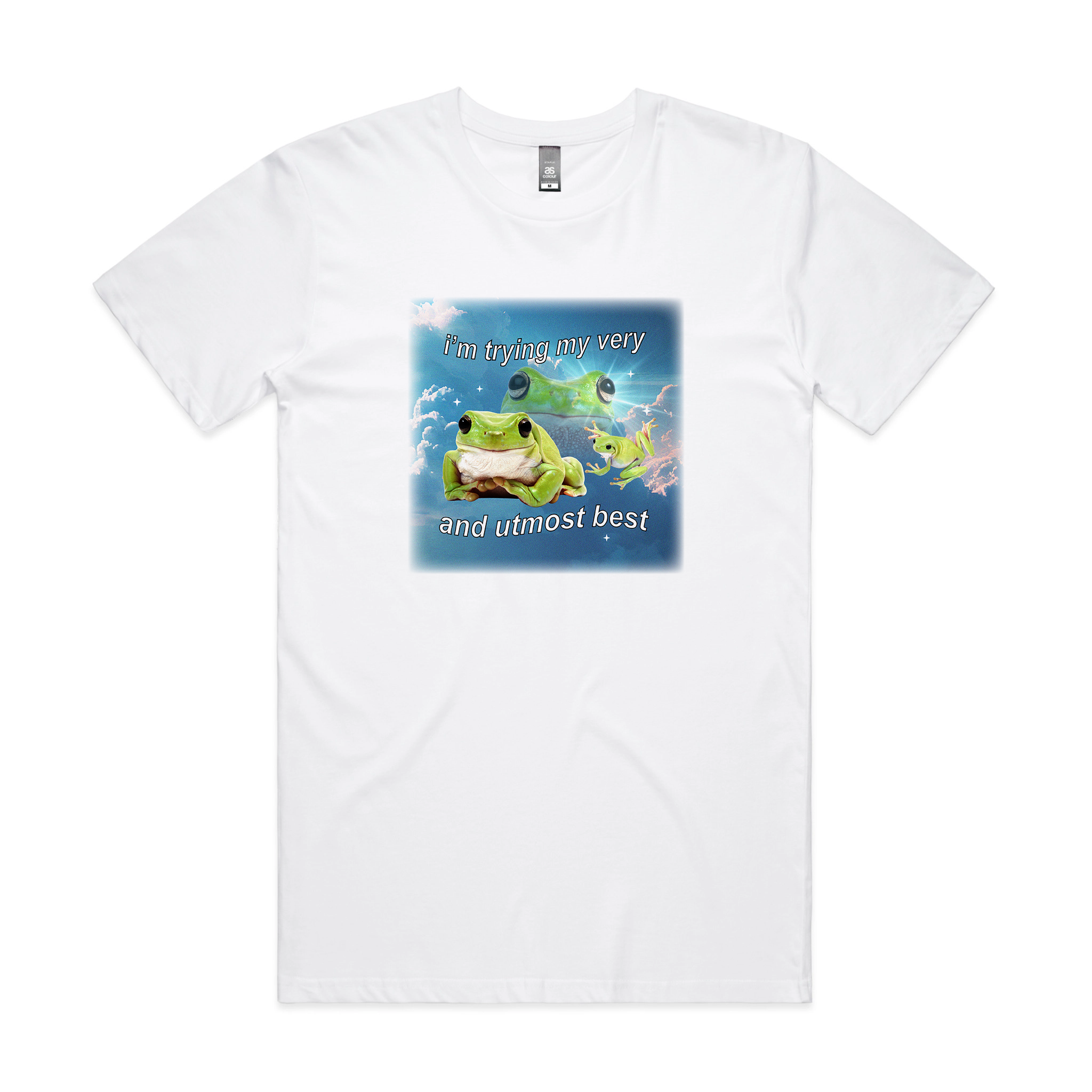 Trying My Very Best Tee Hoodie, Sweatshirt | CiraTrend.com (Image 1)