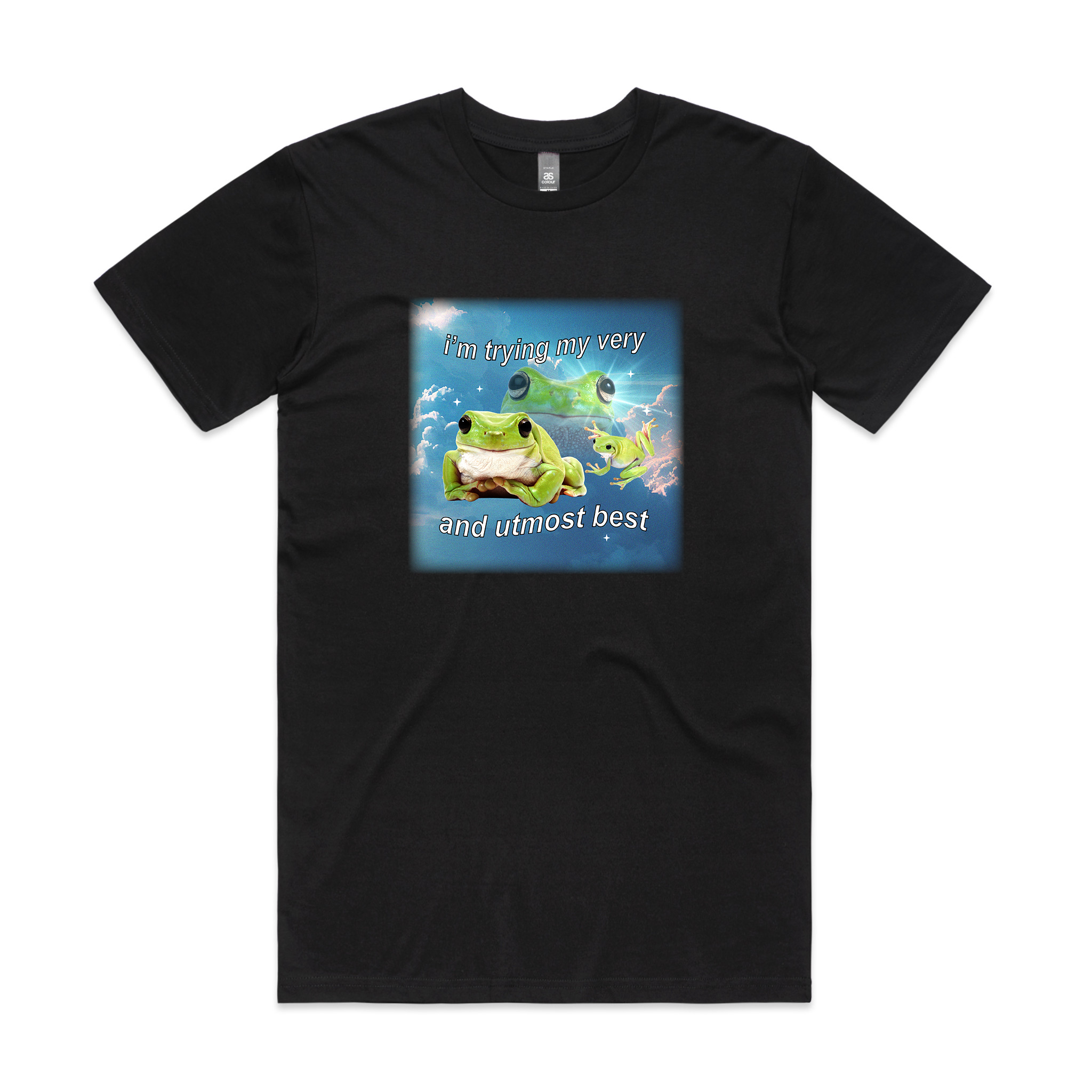 Trying My Very Best Tee Hoodie, Sweatshirt | CiraTrend.com (Image 2)