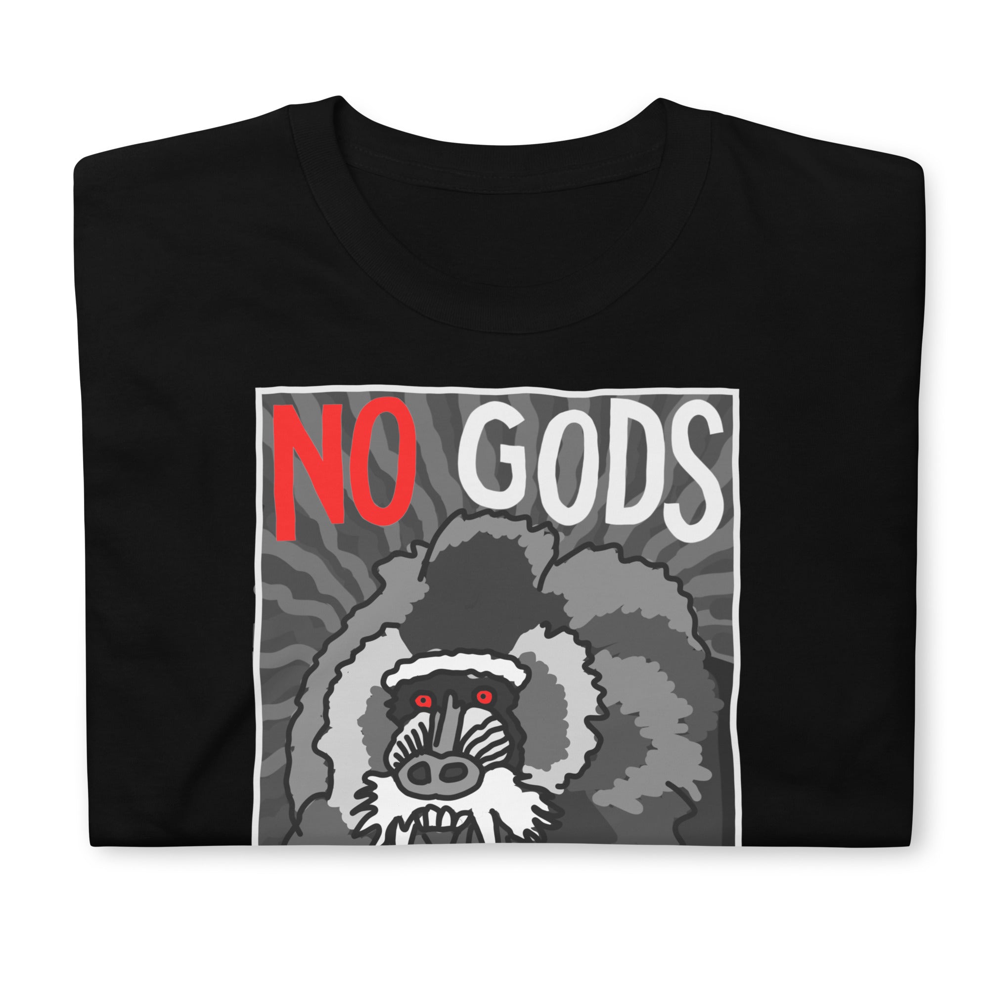 No Gods No Masters Tee Hoodie, Sweatshirt | CiraTrend.com (Image 5)