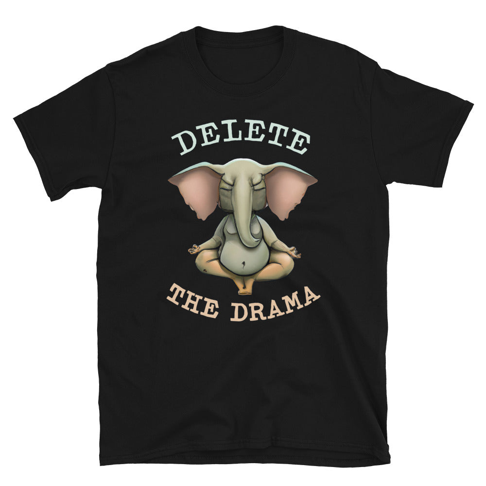 Delete The Drama T-Shirt Hoodie, Sweatshirt | CiraTrend.com (Image 2)