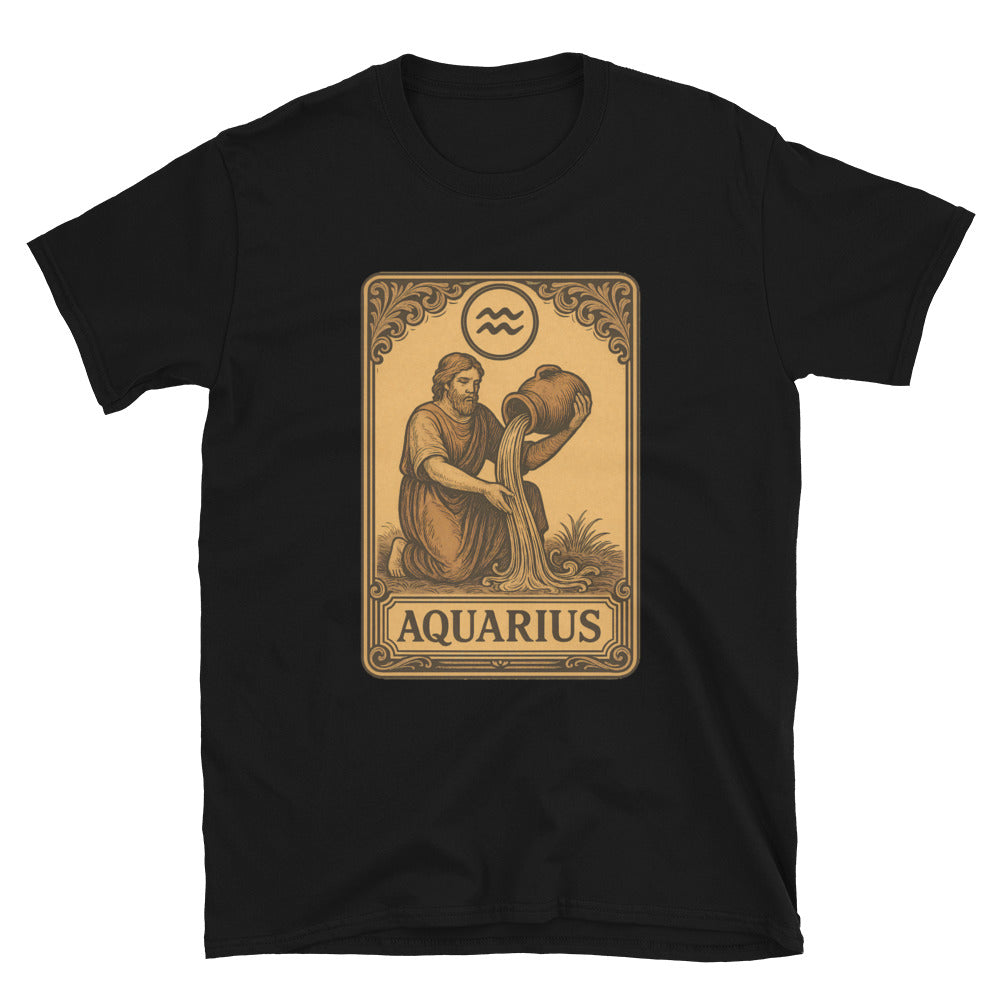 Aquarius Horoscope T-Shirt Hoodie, Sweatshirt | CiraTrend.com (Image 1)