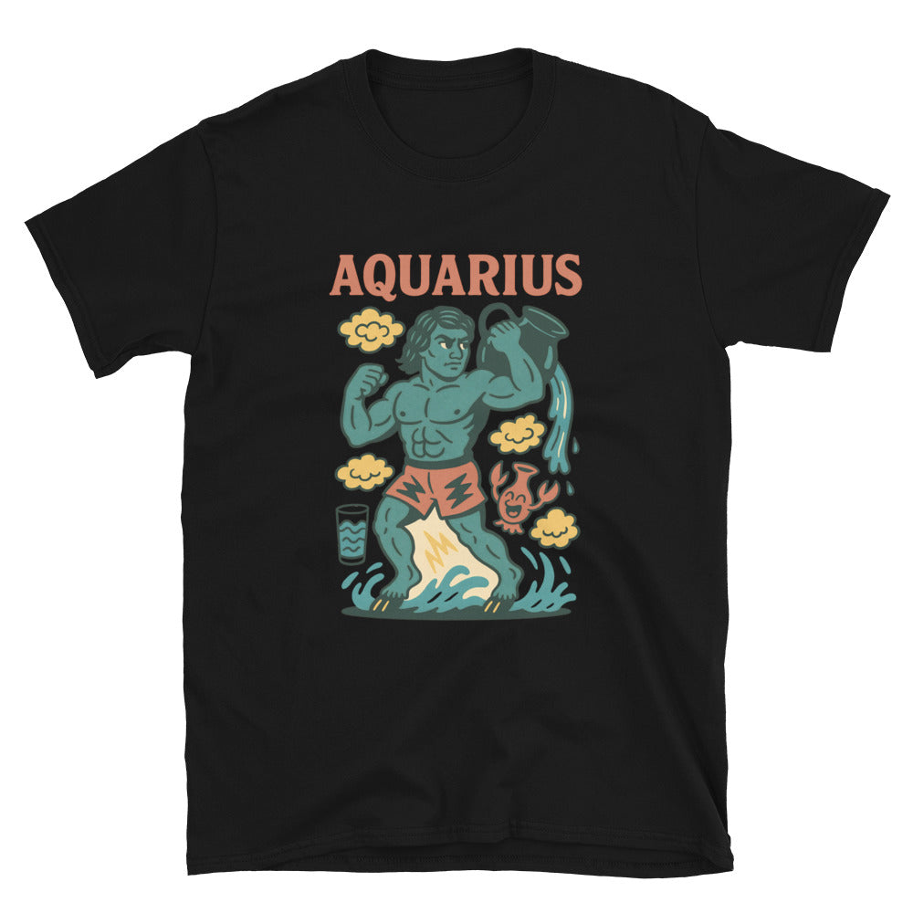 Aquarius Zodiac Sign T-Shirt Style001 Hoodie, Sweatshirt | CiraTrend.com (Image 3)