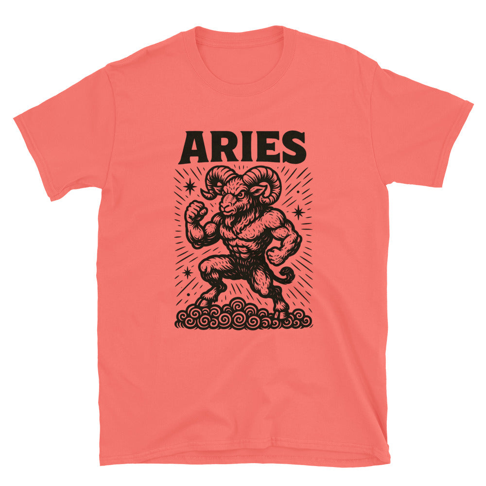 Aries Zodiac Sign T-Shirt Style001 Hoodie, Sweatshirt | CiraTrend.com (Image 1)