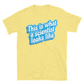 This Is What Scientist Like T-Shirts, Hoodie, Sweatshirt