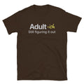 Adult-ish: Still Figuring It Out T-Shirt Hoodie, Sweatshirt | CiraTrend.com (Image 1)