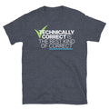 Technically Correct Is The Best Kind Of Correct T-Shirt Hoodie, Sweatshirt | CiraTrend.com (Image 1)