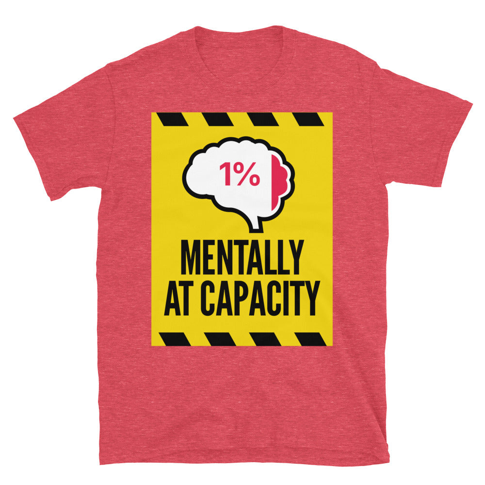 Mentally At Capacity T-Shirt Hoodie, Sweatshirt | CiraTrend.com (Image 5)