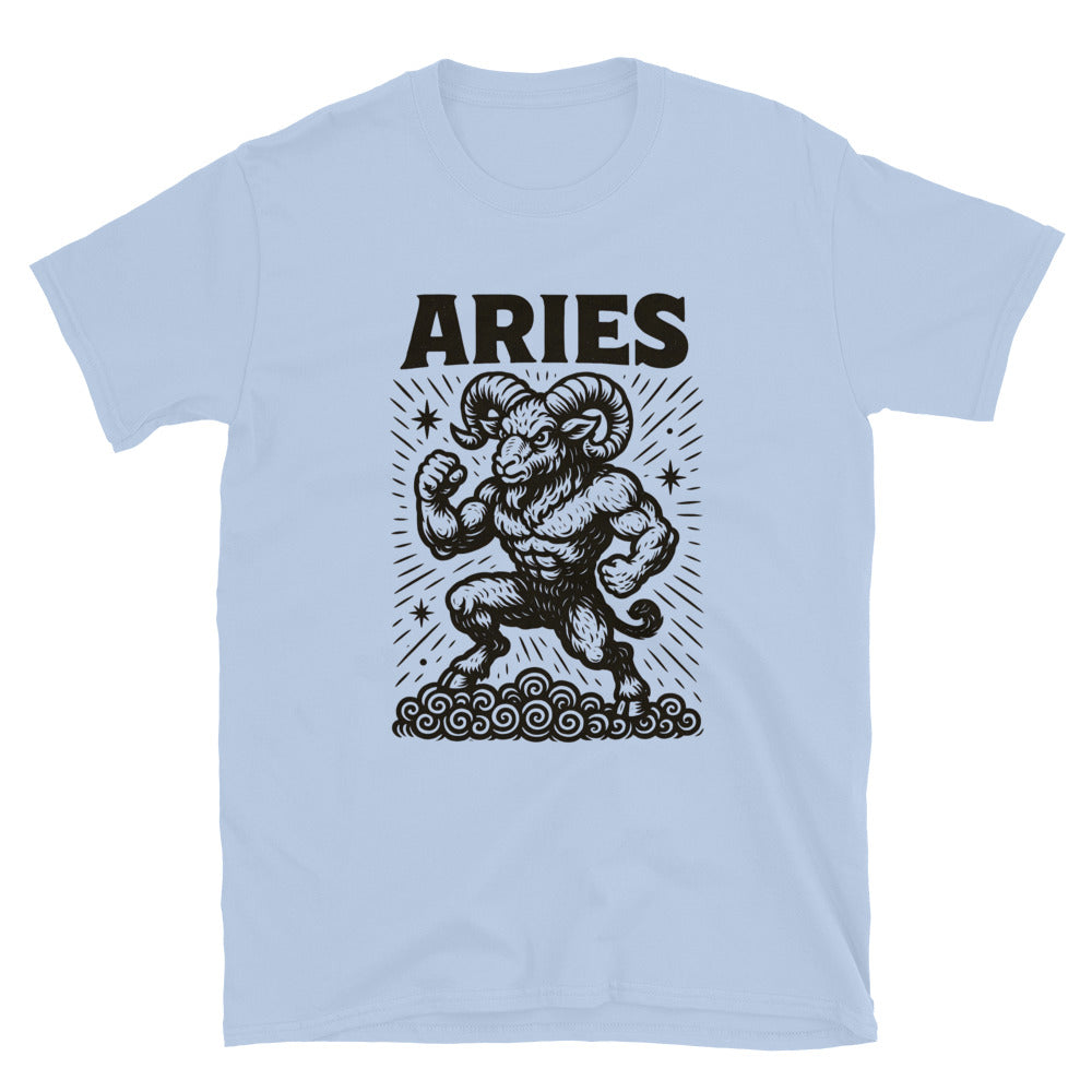 Aries Zodiac Sign T-Shirt Style001 Hoodie, Sweatshirt | CiraTrend.com (Image 3)