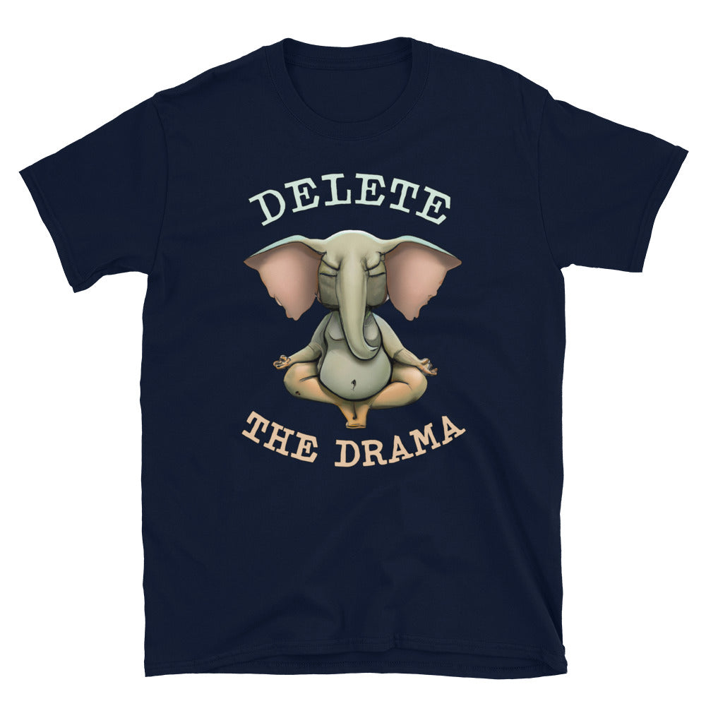 Delete The Drama T-Shirt Hoodie, Sweatshirt | CiraTrend.com (Image 1)
