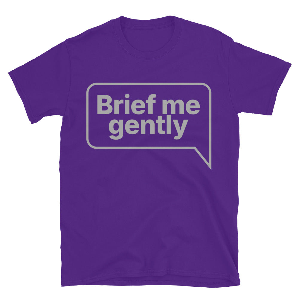 Brief Me Gently T-Shirt Hoodie, Sweatshirt | CiraTrend.com (Image 1)