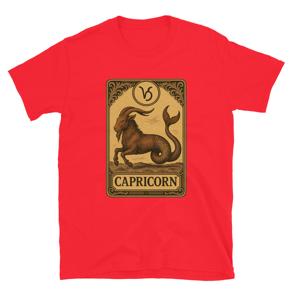 Capricorn Horoscope T-Shirt Hoodie, Sweatshirt | CiraTrend.com (Image 5)