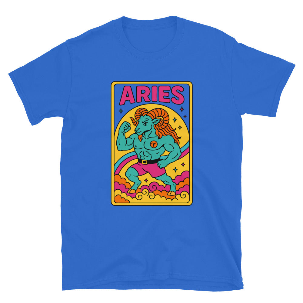 Aries Zodiac Sign T-Shirt Hoodie, Sweatshirt | CiraTrend.com (Image 5)