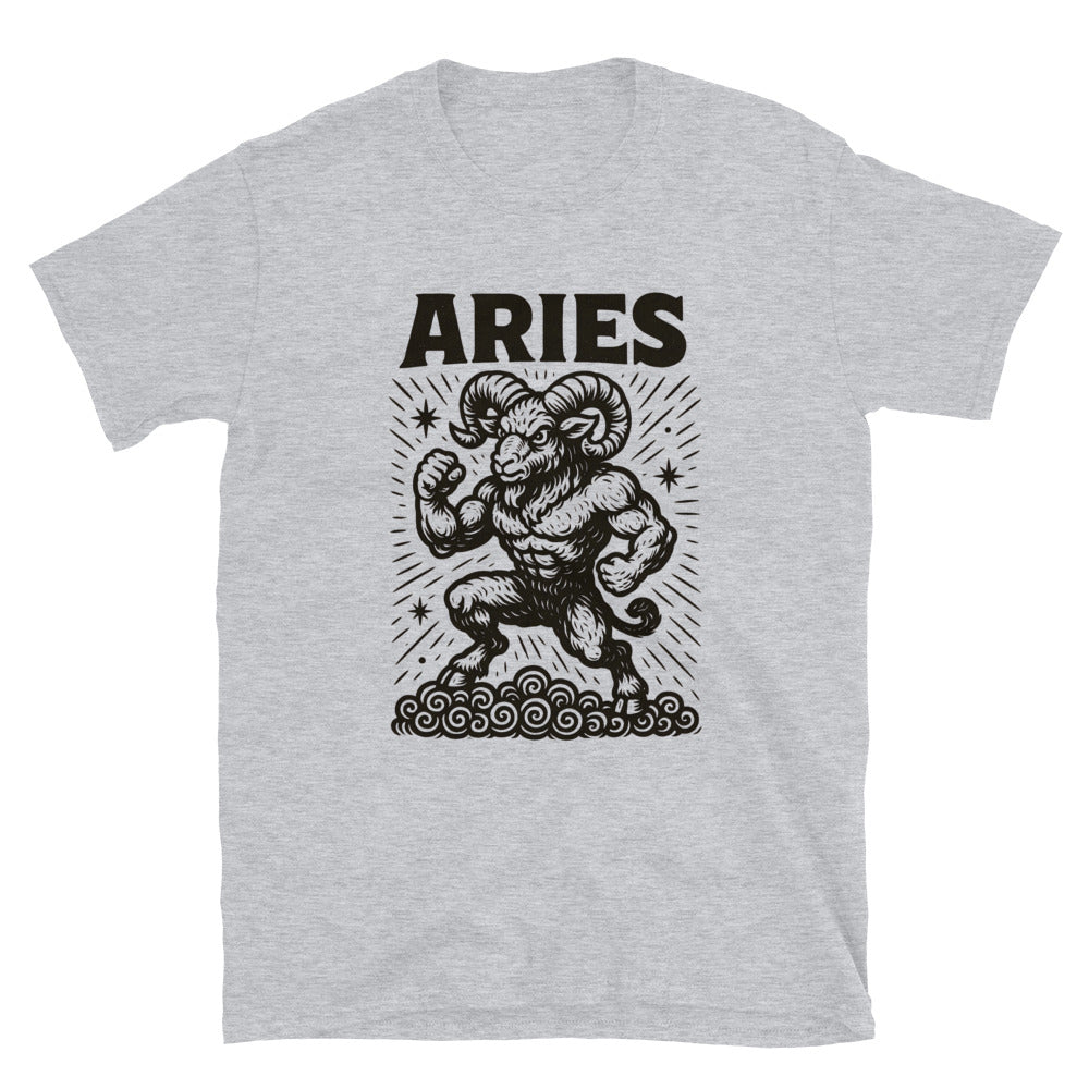 Aries Zodiac Sign T-Shirt Style001 Hoodie, Sweatshirt | CiraTrend.com (Image 5)