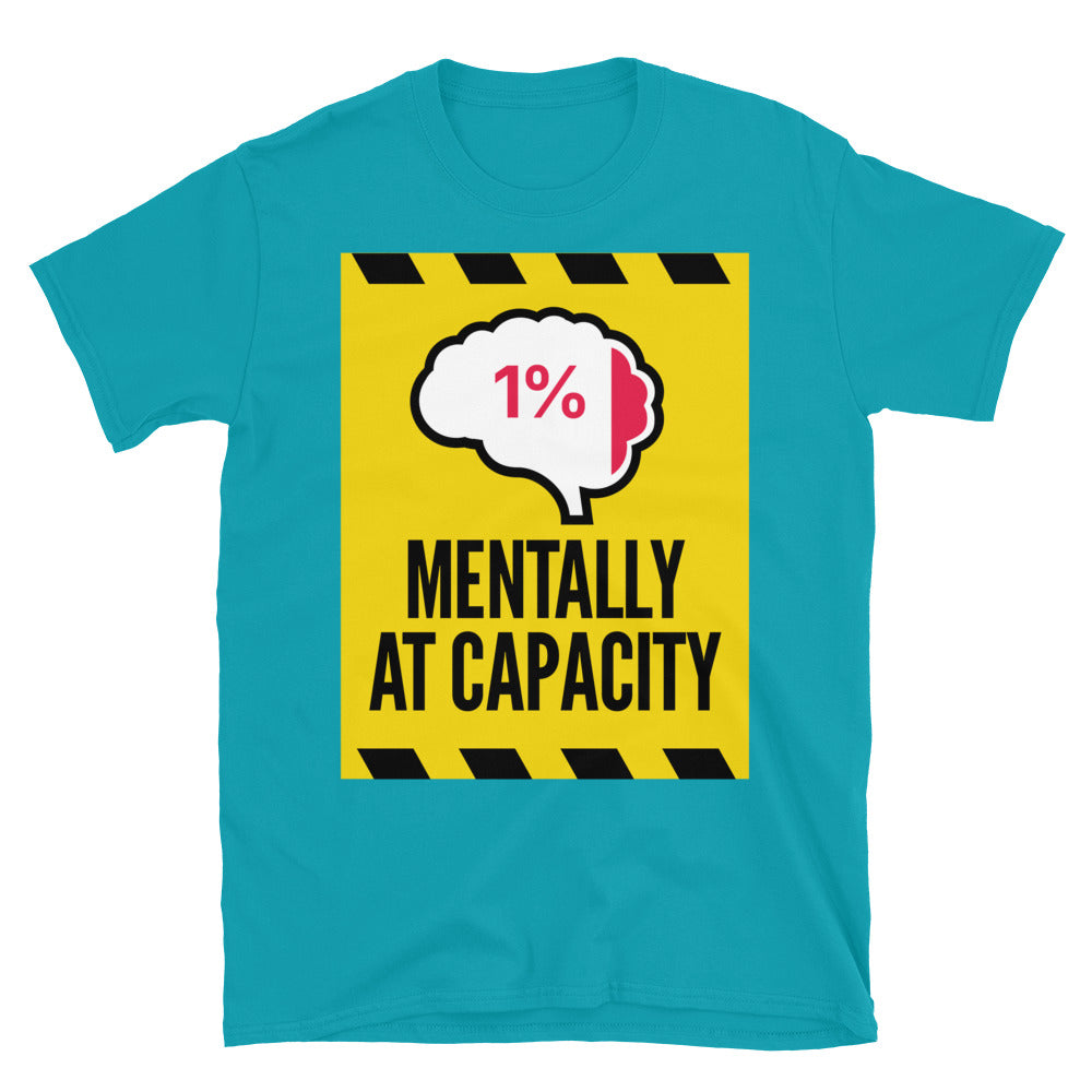 Mentally At Capacity T-Shirt Hoodie, Sweatshirt | CiraTrend.com (Image 1)