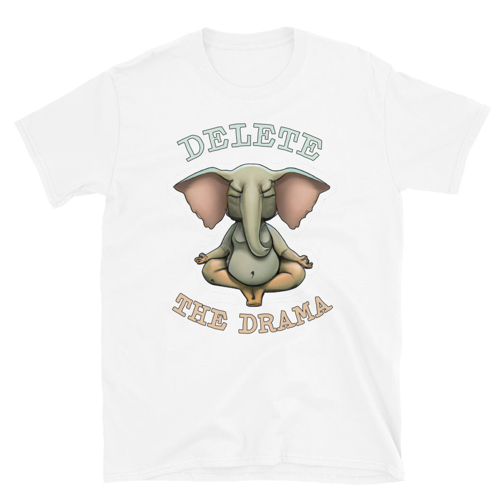 Delete The Drama T-Shirt Hoodie, Sweatshirt | CiraTrend.com (Image 3)