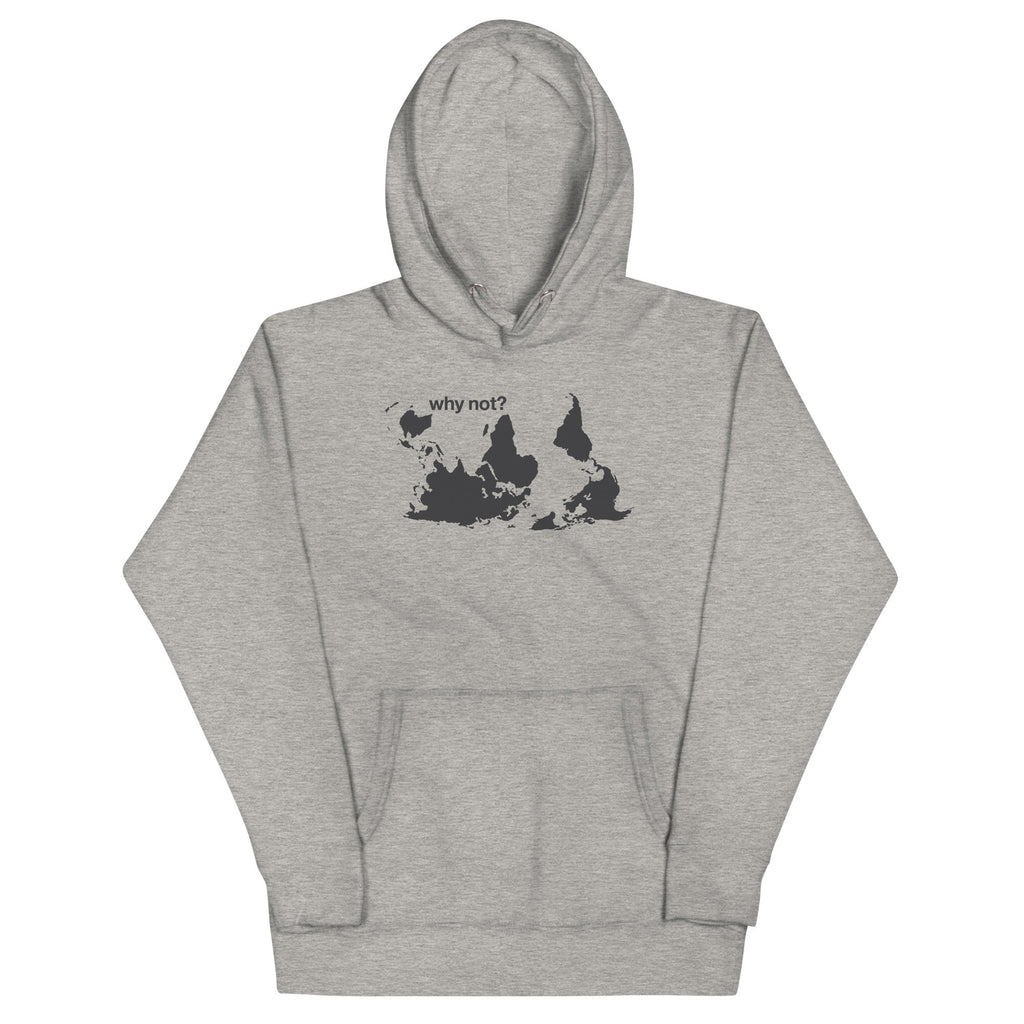 Why Not? Unisex Hoodie
