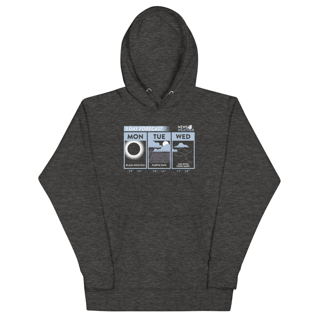 3 Day Forecast Unisex Hoodie