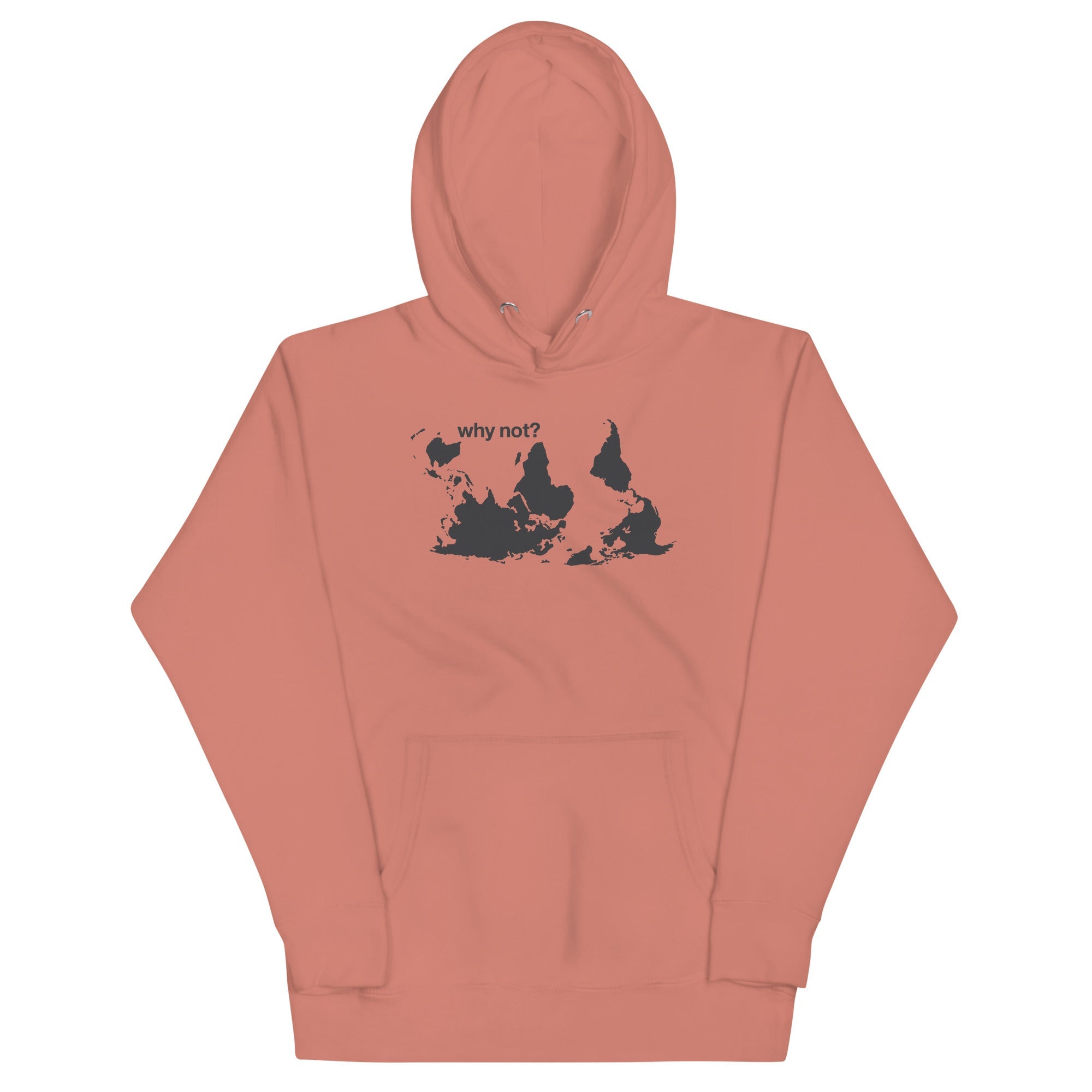 Why Not? Unisex Hoodie