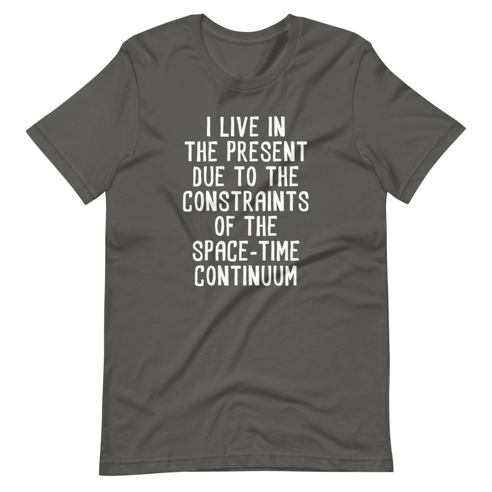 I Live In The Present Due To The Constraints Of The Space-Time Continuum T-Shirt (Unisex) Hoodie, Sweatshirt (Image 1)