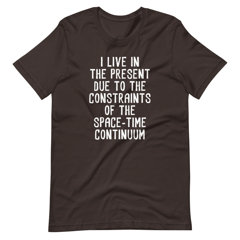 I Live In The Present Due To The Constraints Of The Space-Time Continuum T-Shirt (Unisex) Hoodie, Sweatshirt (Image 5)