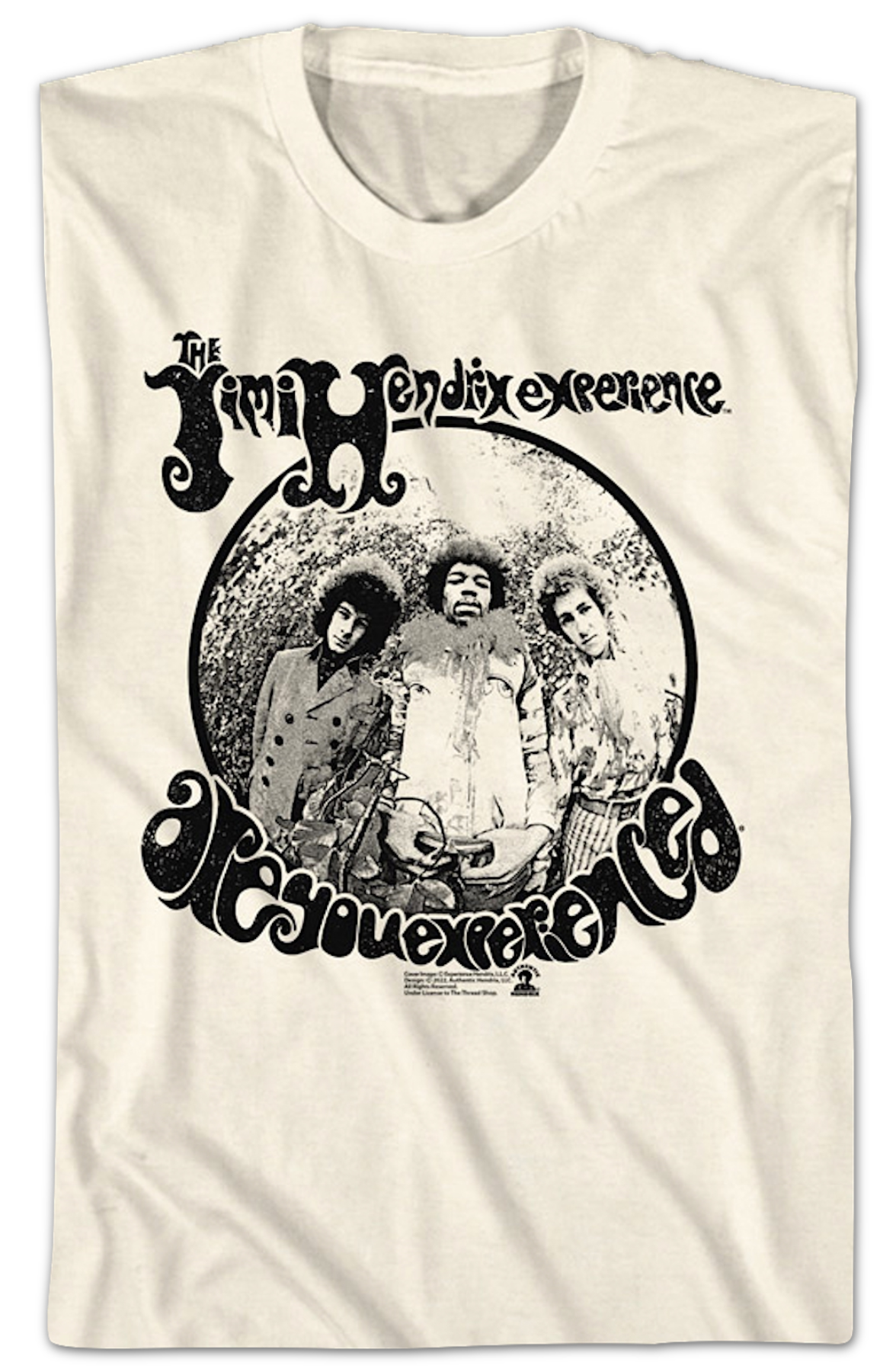 Vintage Are You Experienced Jimi Hendrix T-Shirt Hoodie, Sweatshirt | CiraTrend.com (Image 2)