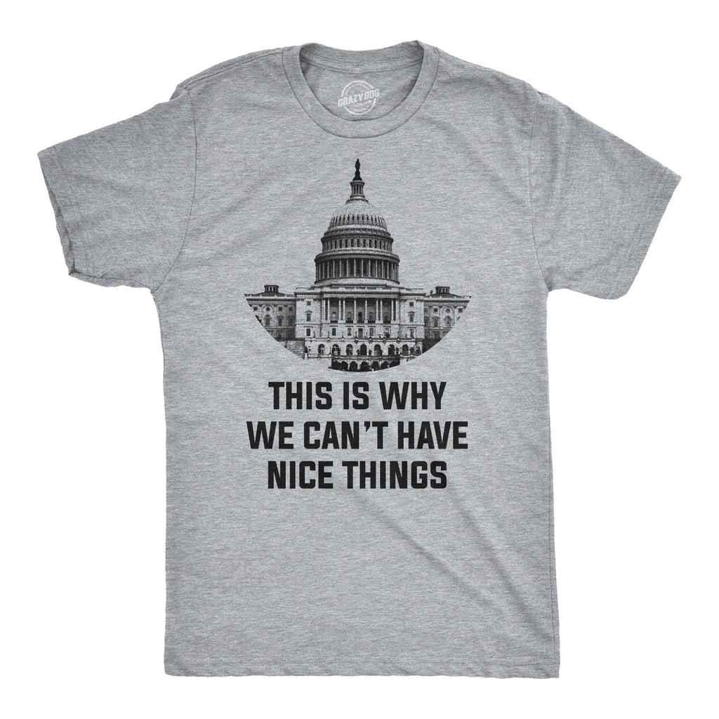 This Is Why We Can't Have Nice Things Men's T Shirt Hoodie, Sweatshirt | CiraTrend.com (Image 1)