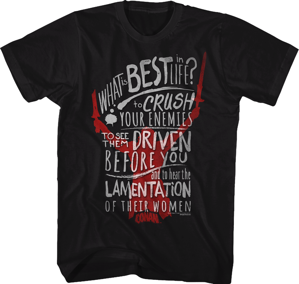 What Is Best In Life Conan T-Shirt Hoodie, Sweatshirt | CiraTrend.com (Image 1)
