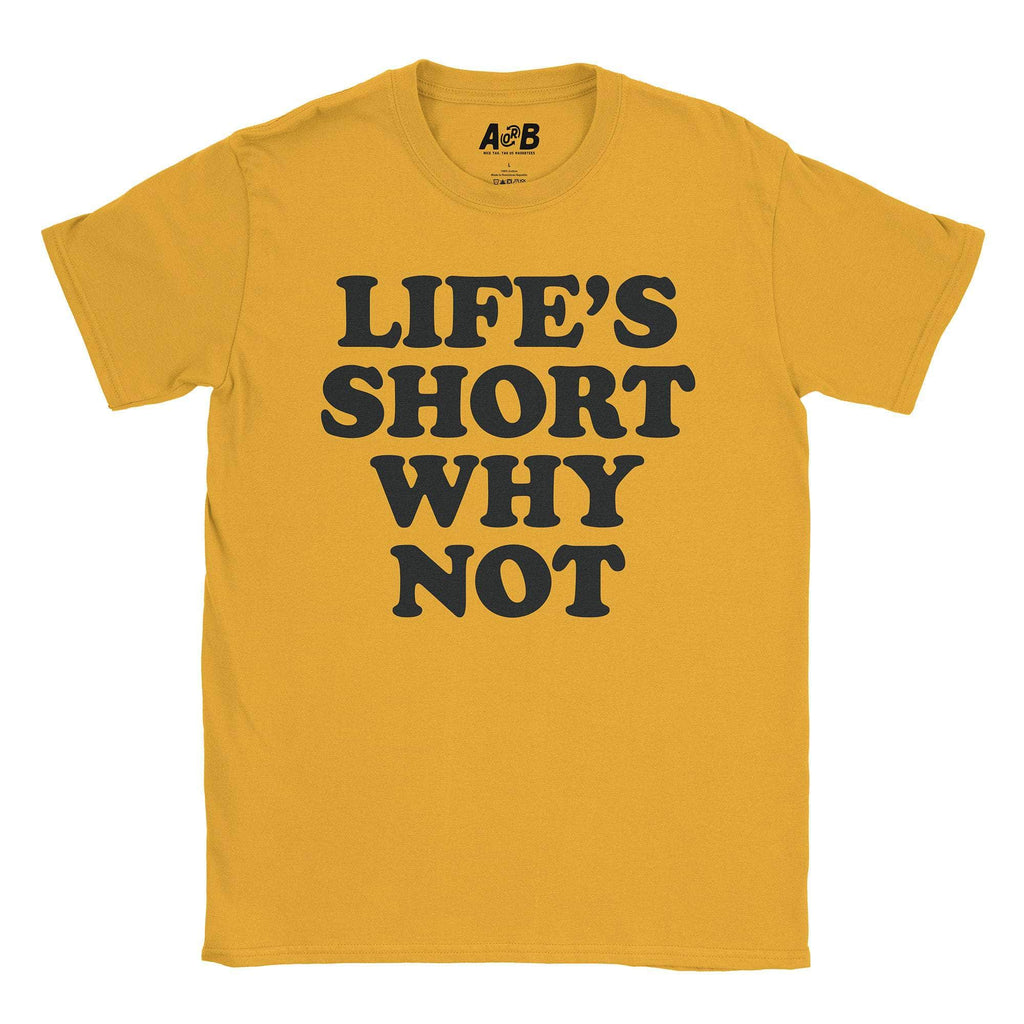 Why Not T-Shirt Hoodie, Sweatshirt | CiraTrend.com (Image 4)