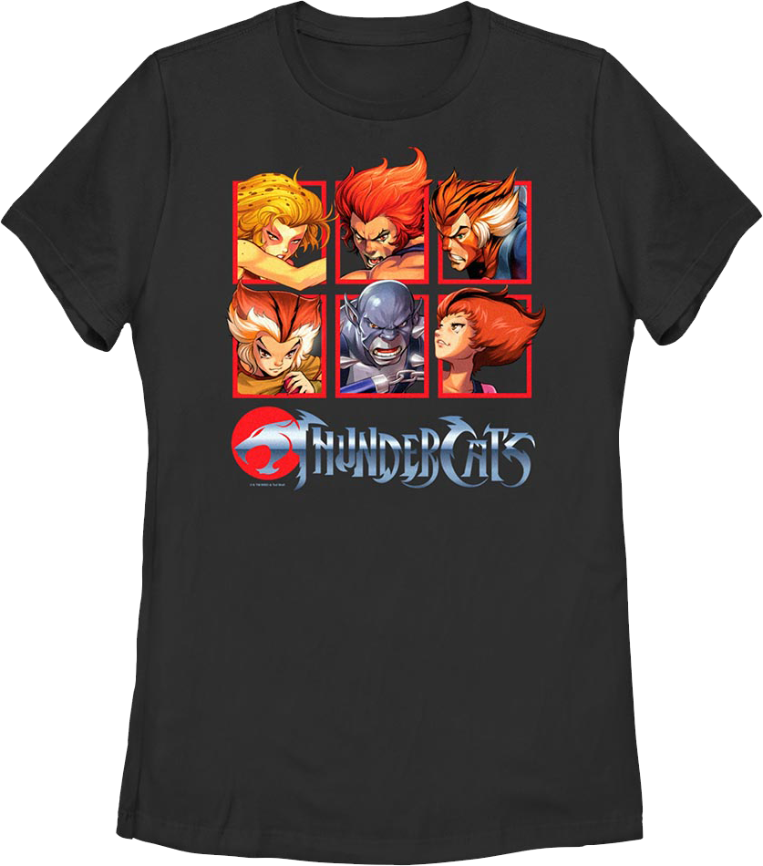 Womens Character Boxes ThunderCats Shirt Hoodie, Sweatshirt | CiraTrend.com (Image 1)